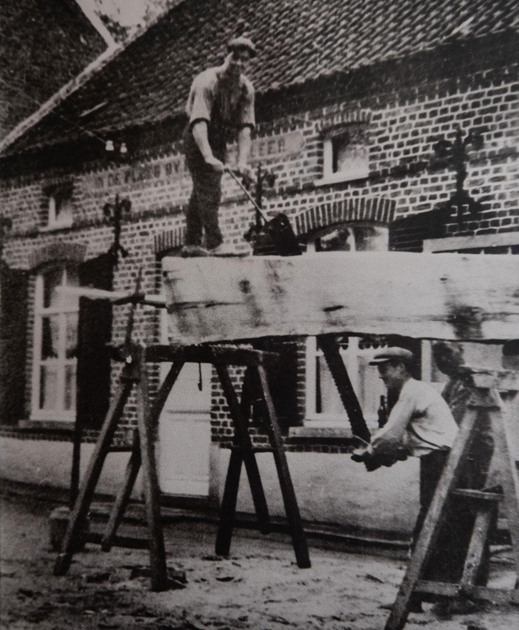 Denderwood in Erpe-Mere: tropisch hardhoud van topkwaliteit Denderwood in Erpe-Mere: tropisch hardhoud van topkwaliteit