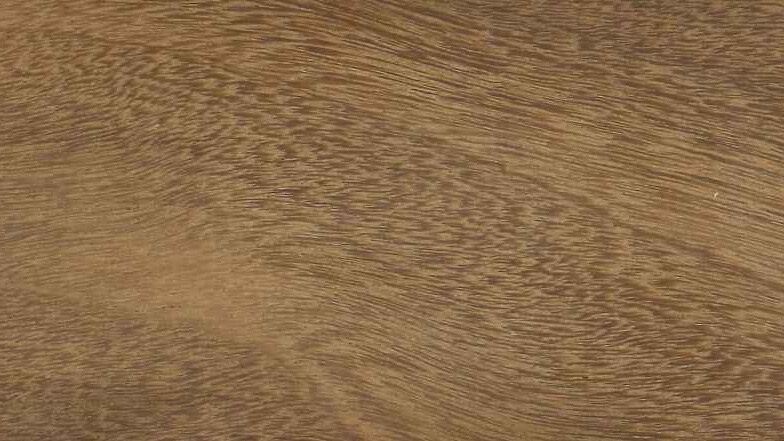 Afrormosia (tropisch hardhout) - Denderwood