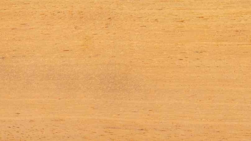 Bilinga (tropisch hardhout) - Denderwood