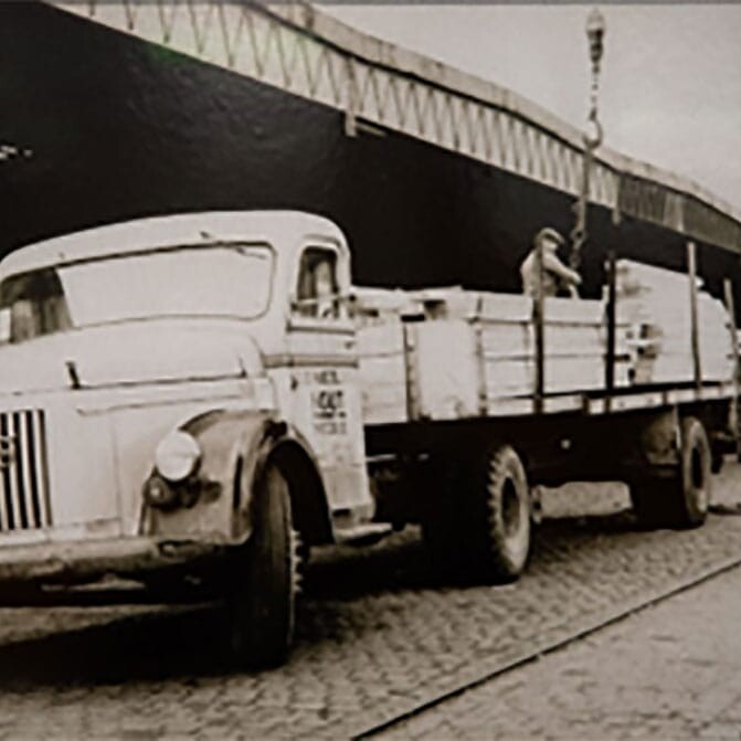 Denderwood in Erpe-Mere: tropisch hardhoud van topkwaliteit