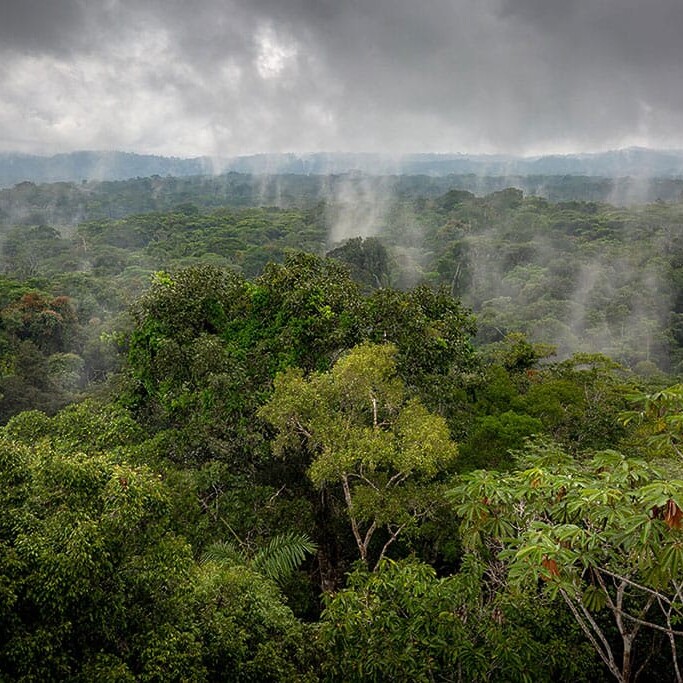 Duurzaam tropisch hardhout - Denderwood