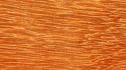 Eveuss (tropisch hardhout) - Denderwood