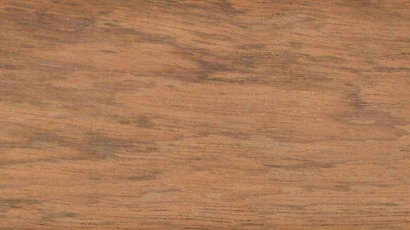 Jatoba (tropisch hardhout) - Denderwood