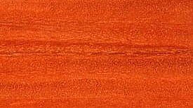 Kotibé (tropisch hardhout) - Denderwood