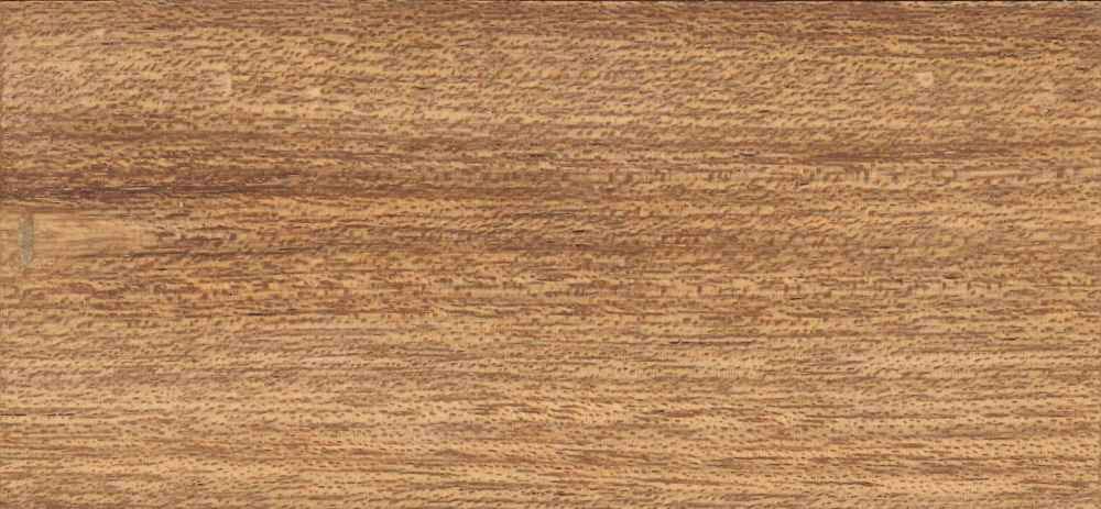 Mengkulang – Red Palapi | Denderwood (Erpe-Mere)