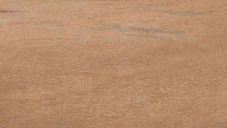 Moabi (tropisch hardhout) - Denderwood