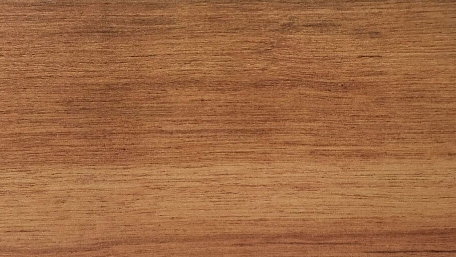 Niové (tropisch hardhout) - Denderwood