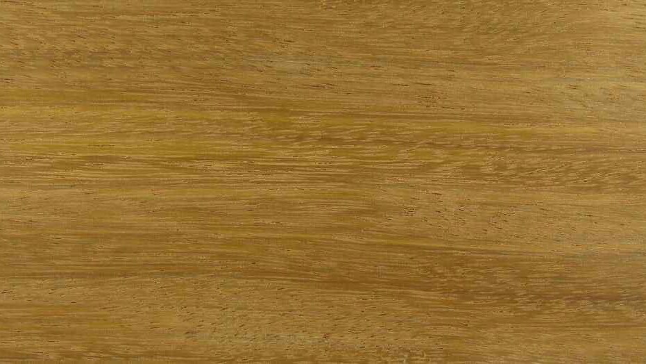 Tali (tropisch hardhout) - Denderwood