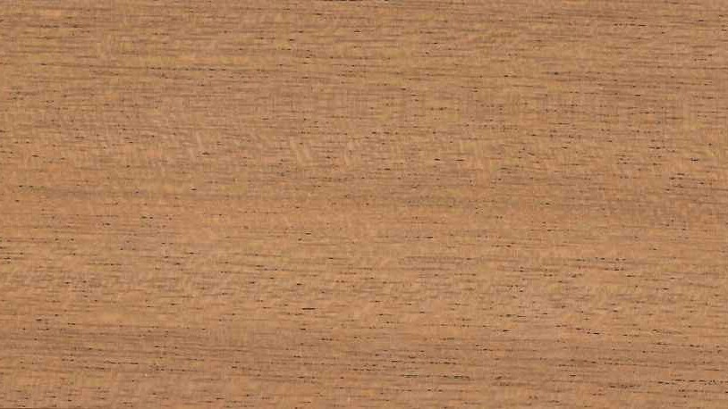 Tiama (tropisch hardhout) - Denderwood